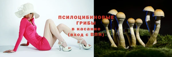 ешки Алексин