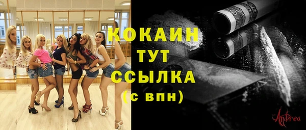 ешки Алексин