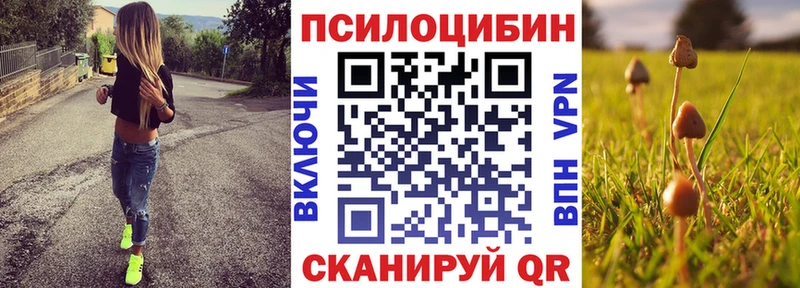 Галлюциногенные грибы прущие грибы  Райчихинск 